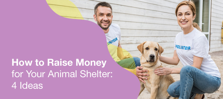 Use this strategies to raise more money for your animal shelter.