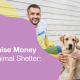 Use this strategies to raise more money for your animal shelter.