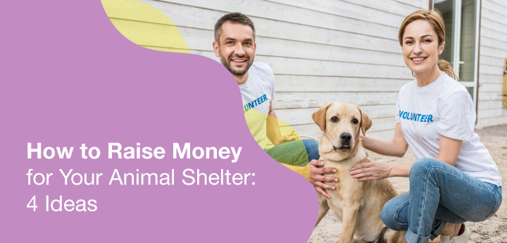 Use this strategies to raise more money for your animal shelter.