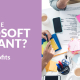 The ultimate guide for the Microsoft Ad Grant.