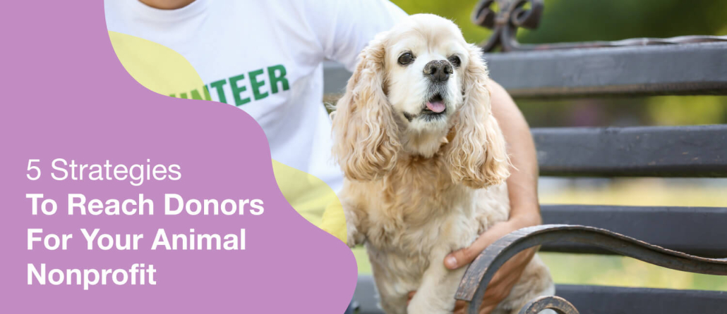 Connect with donors and raise money for your animal nonprofit.