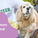 Connect with donors and raise money for your animal nonprofit.