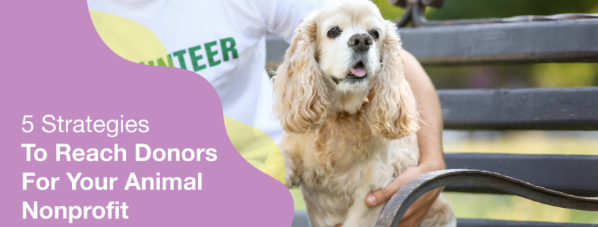 Connect with donors and raise money for your animal nonprofit.