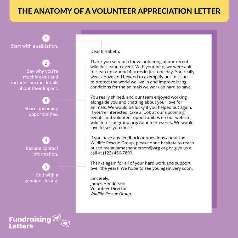 This graphic breaks down the anatomy of a volunteer appreciation letter.