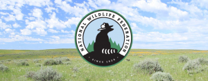 this is the National Wildlife Federation’s nonprofit logo. It showcases a raccoon’s silhouette in a forest wearing a ranger hat. This is a great nonprofit logo because it’s memorable and visually brings together rangers and animals, which is what the nonprofit does.